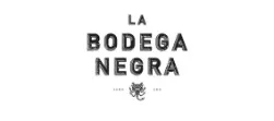 Logo 16